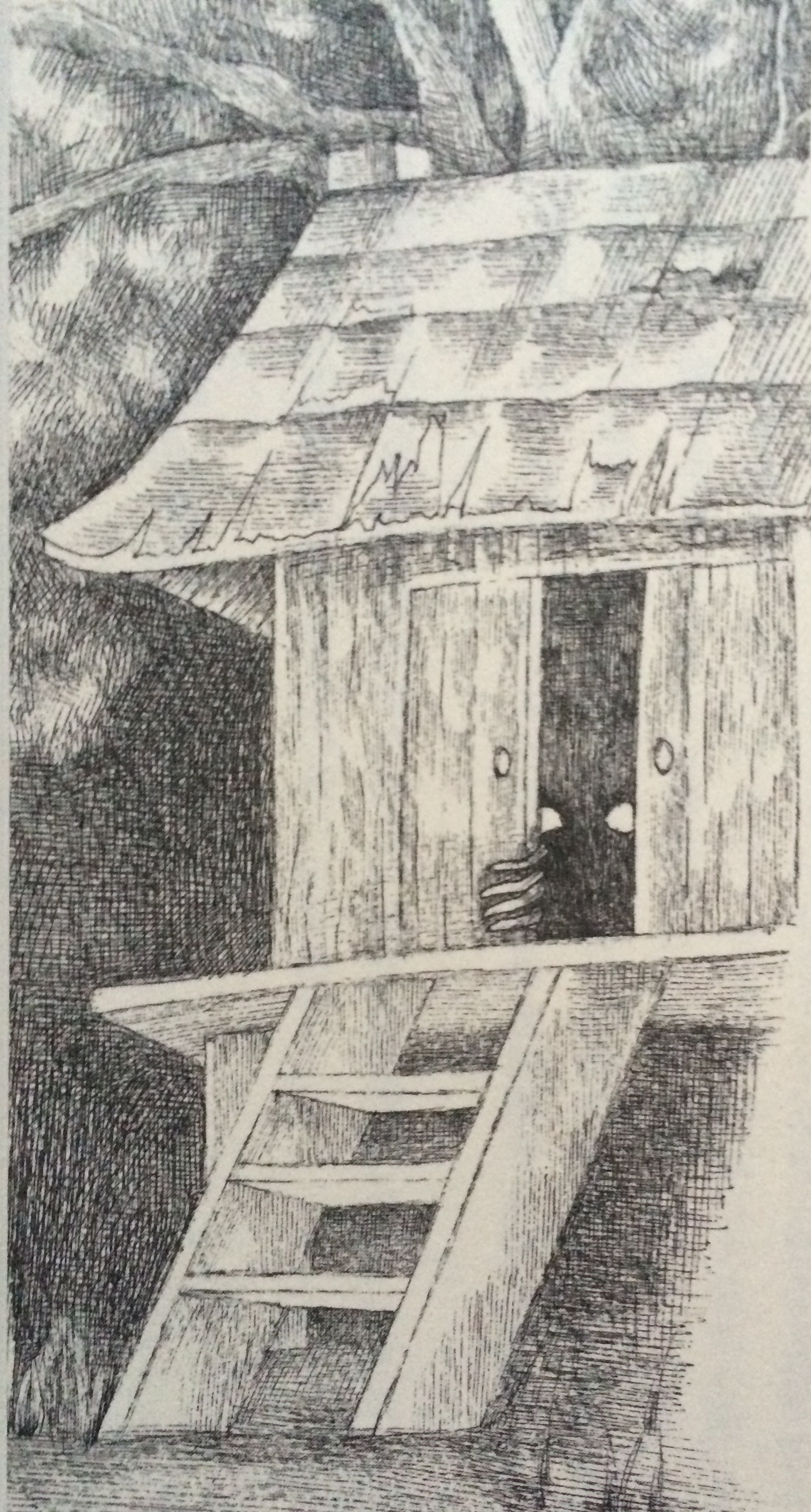 青森県・八戸に出る黒い妖怪河童の仲間のメドツを目撃した女性、住職に口止めされる？の画像2