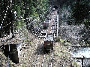 複数の命を助けるために1人の命を犠牲にできるか？ この質問の答えでアナタの人望が判明する！の画像1