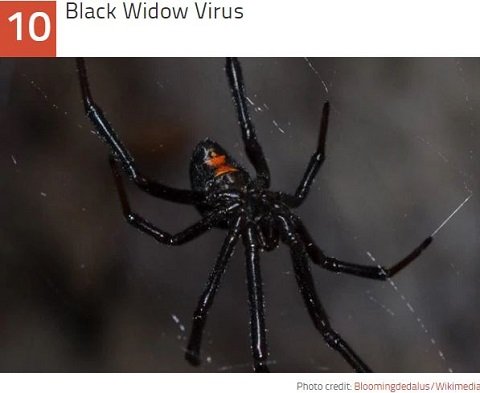 未だ解明されない謎の激ヤバな最凶ウイルス10！ 出血、発熱、死亡…アウトブレイクで人類滅亡!?の画像1