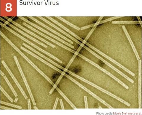 未だ解明されない謎の激ヤバな最凶ウイルス10！ 出血、発熱、死亡…アウトブレイクで人類滅亡!?の画像3