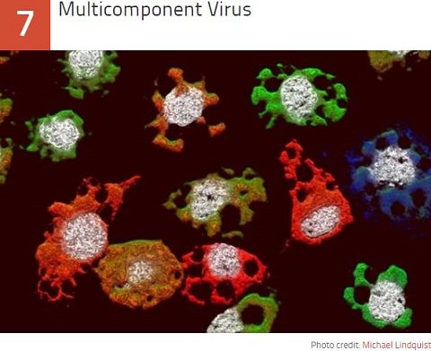未だ解明されない謎の激ヤバな最凶ウイルス10！ 出血、発熱、死亡…アウトブレイクで人類滅亡!?の画像4