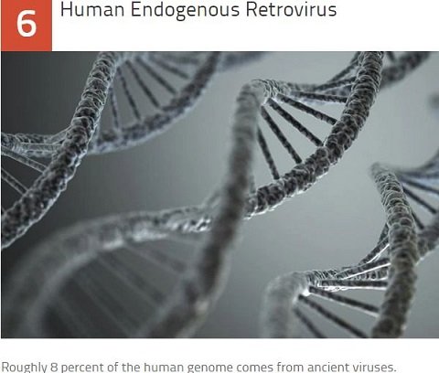 未だ解明されない謎の激ヤバな最凶ウイルス10！ 出血、発熱、死亡…アウトブレイクで人類滅亡!?の画像5