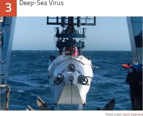 未だ解明されない謎の激ヤバな最凶ウイルス10！ 出血、発熱、死亡…アウトブレイクで人類滅亡!?の画像8