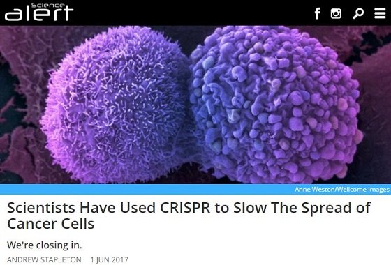 最先端ゲノム編集「CRISPR」が2017年に成し遂げた11の偉業がスゴスギル！ 半合成生命体の誕生、HIVウイルスの除去、DNAメモリー化…の画像2