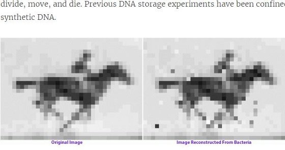 最先端ゲノム編集「CRISPR」が2017年に成し遂げた11の偉業がスゴスギル！ 半合成生命体の誕生、HIVウイルスの除去、DNAメモリー化…の画像4