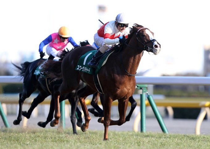 【衝撃】競馬関係者が暴露した「誰でもできる有馬記念100万円獲得計画」がヤバすぎる！の画像2