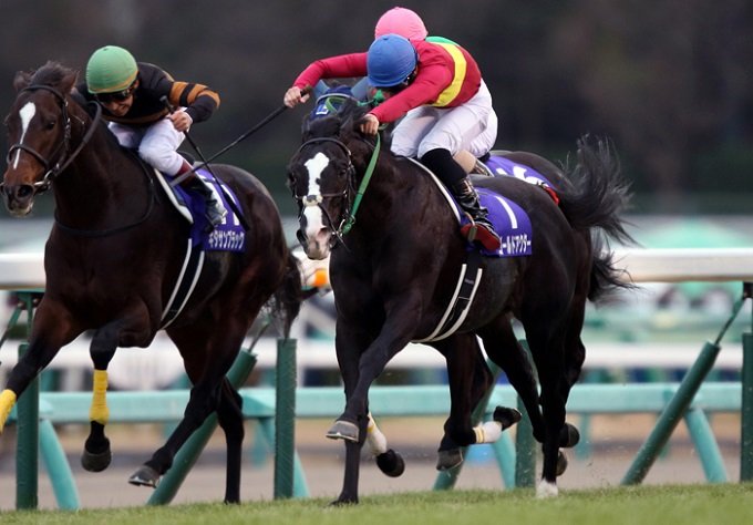 【衝撃】競馬関係者が暴露した「誰でもできる有馬記念100万円獲得計画」がヤバすぎる！の画像1