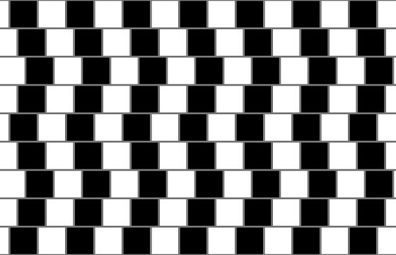 視覚トリックで脳が騙される「絶対に同時には見えない12個の黒い点」の画像2