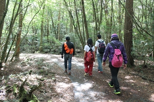 最近の樹海はどうなってる？『完全自殺マニュアル』にも記された宗教施設に首吊り死体…「キ号冒険学校」が見た驚愕の実態とは？の画像5