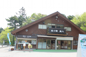 最近の樹海はどうなってる？『完全自殺マニュアル』にも記された宗教施設に首吊り死体…「キ号冒険学校」が見た驚愕の実態とは？の画像4