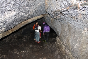 最近の樹海はどうなってる？『完全自殺マニュアル』にも記された宗教施設に首吊り死体…「キ号冒険学校」が見た驚愕の実態とは？の画像11