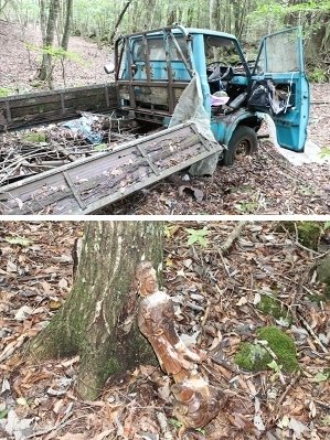 最近の樹海はどうなってる？『完全自殺マニュアル』にも記された宗教施設に首吊り死体…「キ号冒険学校」が見た驚愕の実態とは？の画像6