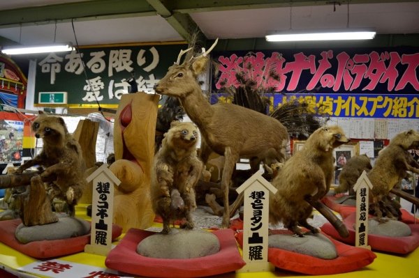 新興宗教、奇祭、刑務所、秘宝館etc...この世のさいはてを巡り続ける珍スポトラベラーが見てきたものの画像4