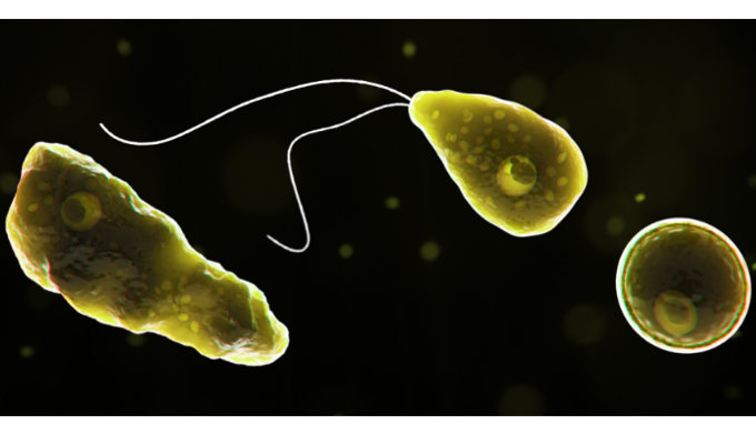 致死率95％超え、意識障害、皮膚突き破り…！  人間の目には見えない極小の殺人バクテリア5選！の画像2