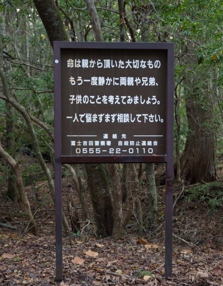 腐りかけでハエだらけの死体にドロドロに溶けた死体……樹海で出会った死体たちを解説！の画像3