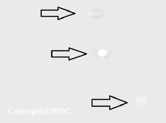 モルディブでフォースフールド噴出UFOが出現、2日連続撮影に成功!! 「宇宙現象観測所」所長が歴史的偉業を徹底解説！の画像5