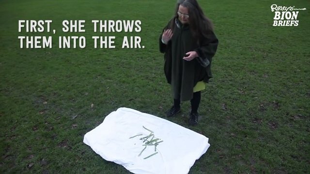 世界に1人だけの「アスパラガス予言者」が2019年の予言発表！ 米中戦争、地震＆噴火、レディー・ガガも…！の画像2