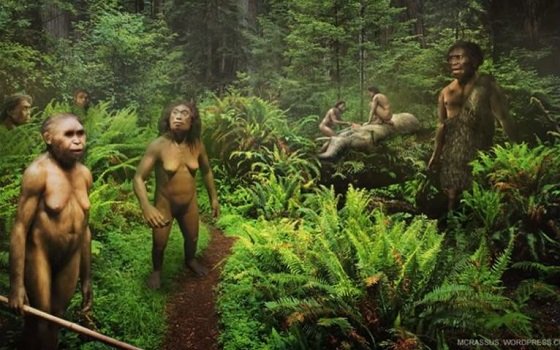 人類進化史に革命が起きる？ ホビットと呼ばれたフローレス原人は、奇形か新種人類か？の画像1