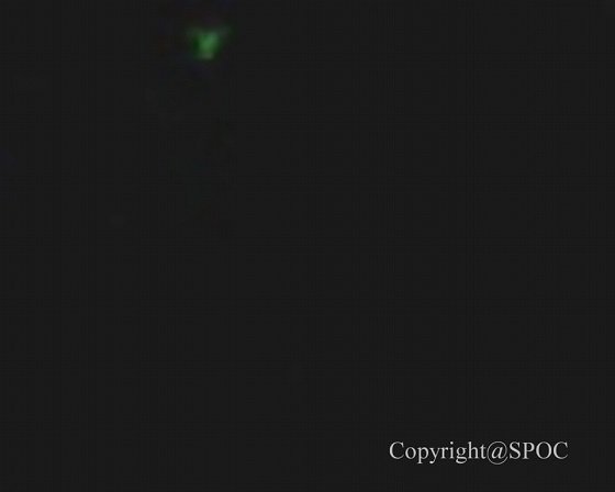 モルディブ上空で謎すぎるUFO出現のオンパレード!! ダイヤモンド型、緑色デルタ型… 自動観測ロボ「SID-1」で一挙撮影成功！の画像20