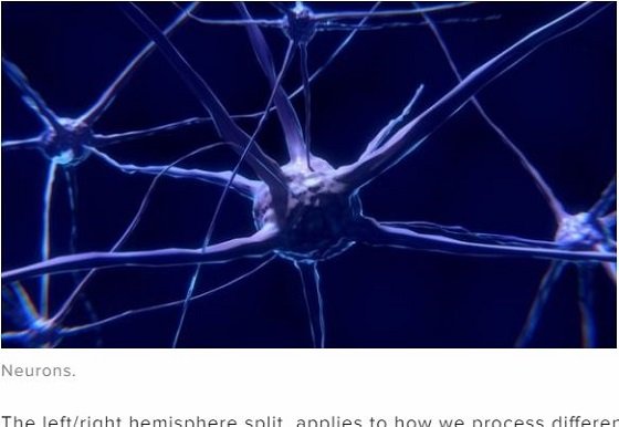 脳の6分の1を失った少年が奇跡の回復！ むしろ能力向上… 神経回路に起きた信じられない変化とは!?の画像3