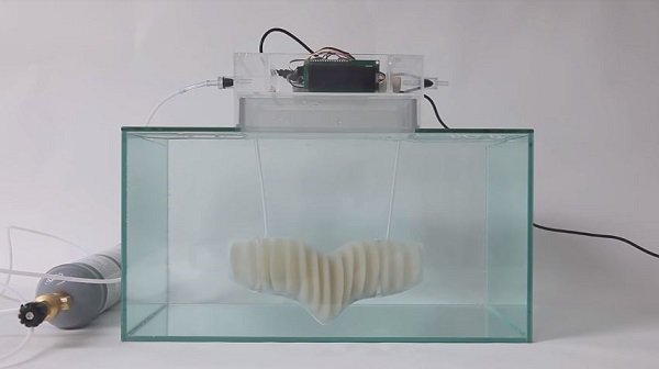 人類水中移住のための人工エラ「AMPHIBIO」がカッコ良すぎる！ 3Dプリンターで簡単に… 海面上昇への究極アンサーの画像3