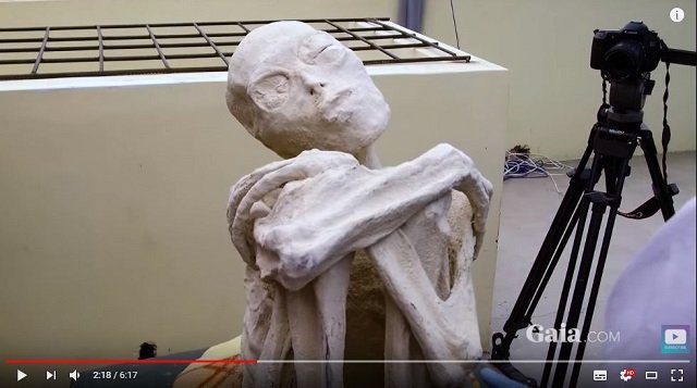 ナスカで発見された「3本指の純白宇宙人ミイラ」、ついにDNA鑑定結果が公開される！ 専門家絶句の正体とは!?の画像2