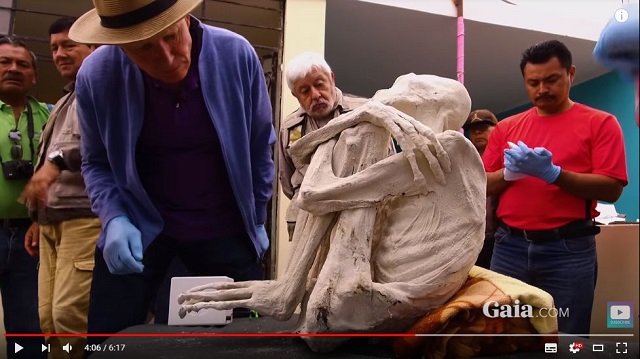 ナスカで発見された「3本指の純白宇宙人ミイラ」、ついにDNA鑑定結果が公開される！ 専門家絶句の正体とは!?の画像4