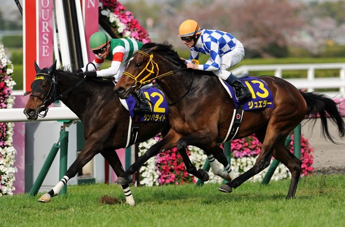 大物競馬プロ集団が緊急告白「桜花賞は最高の手応え。高額万馬券も」！ マスコミが知り得ない圧倒的的中率の激ヤバ情報の画像1