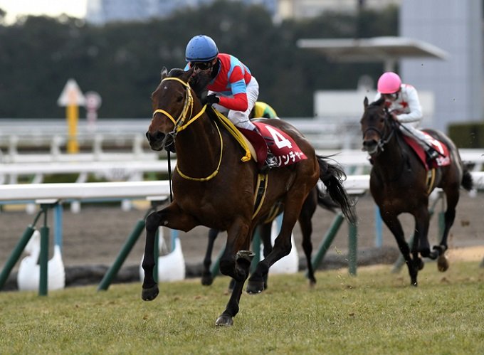 JRA最大のタブーは武豊も絡む●●だった!? 競馬界の超大物集団だけが知る天皇賞・春の裏側を暴露！の画像2