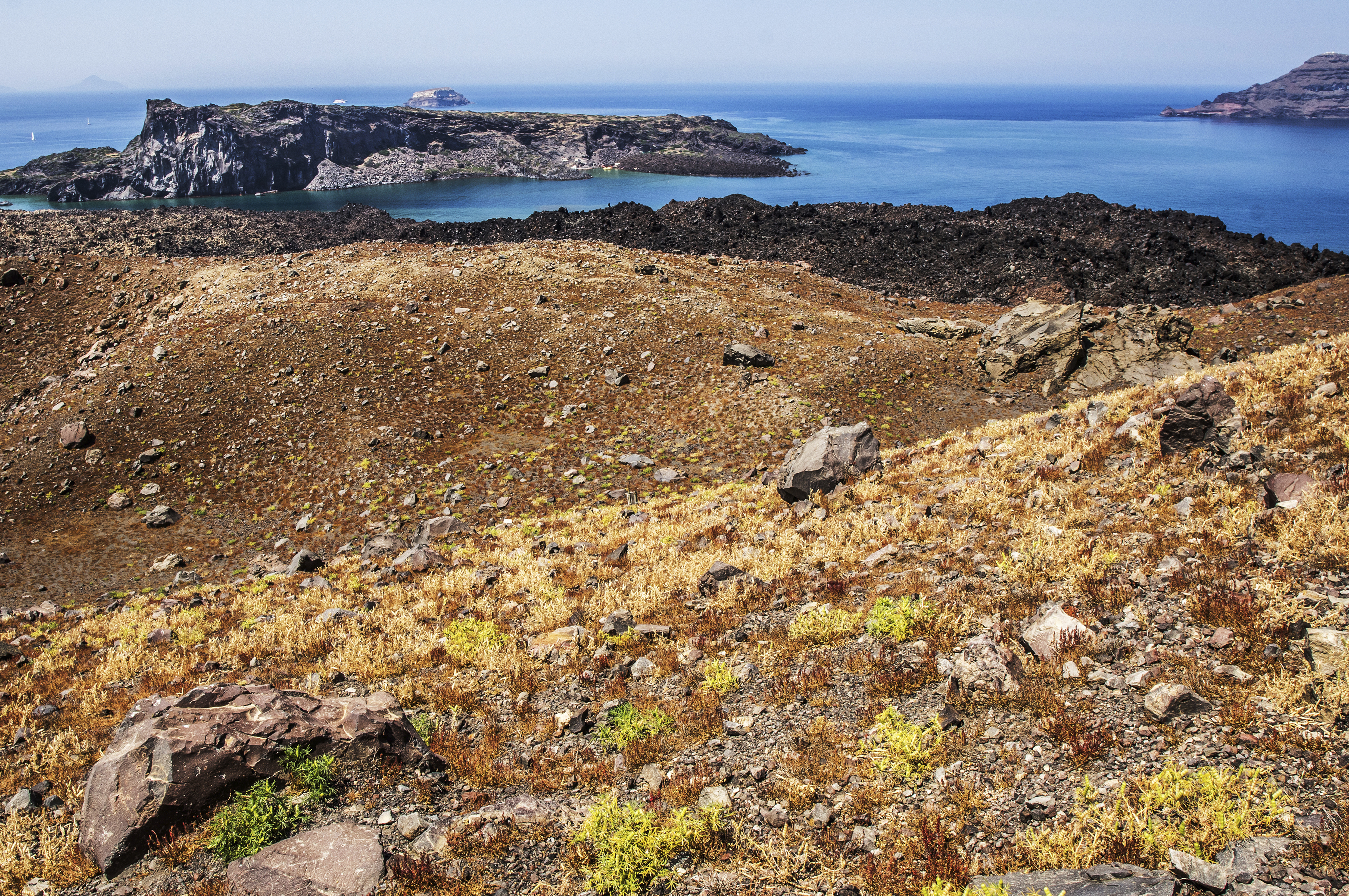 チリでM8.2の地震発生、日本でも大地震か？　学者が発見した規則「巨大地震の循環」とは？の画像1