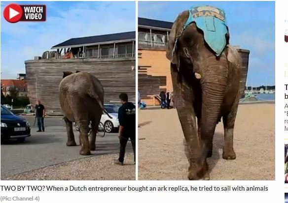 再現された「ノアの箱舟」に動物たちが乗船拒否！ 乗れたのは●●だけ、ゾウは断固拒否！＝オランダの画像4