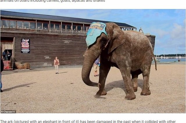 再現された「ノアの箱舟」に動物たちが乗船拒否！ 乗れたのは●●だけ、ゾウは断固拒否！＝オランダの画像5