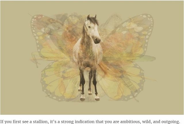 どの動物が見えたかでわかる「アニマル性格診断」が的中率抜群すぎる！ あなたの隠れた性格から本能まで… すべて丸裸!?の画像2