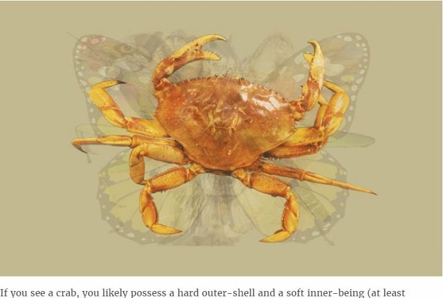 どの動物が見えたかでわかる「アニマル性格診断」が的中率抜群すぎる！ あなたの隠れた性格から本能まで… すべて丸裸!?の画像4