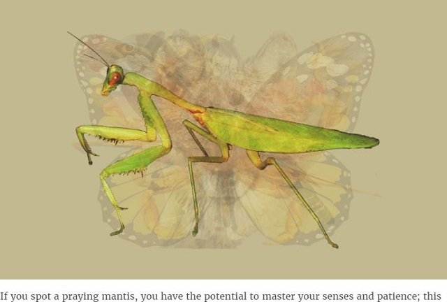 どの動物が見えたかでわかる「アニマル性格診断」が的中率抜群すぎる！ あなたの隠れた性格から本能まで… すべて丸裸!?の画像5