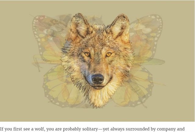 どの動物が見えたかでわかる「アニマル性格診断」が的中率抜群すぎる！ あなたの隠れた性格から本能まで… すべて丸裸!?の画像6