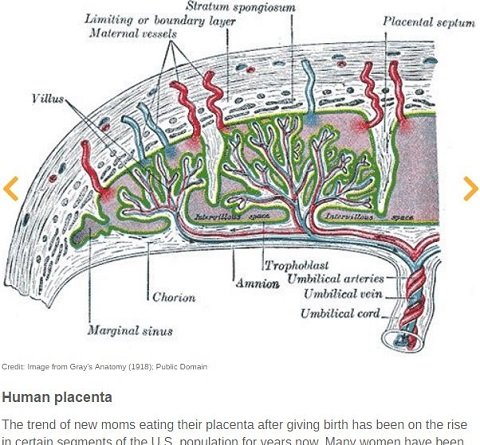 母乳アイス、うんこソーセージ、精液カクテルも！ 人体の一部を使った7つの食品がヤバすぎる！の画像5