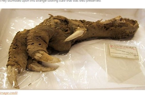 頭に杭、絶叫するミイラ、永久死体…夢に出てきそうなインパクトありすぎる恐怖の亡骸7選の画像2