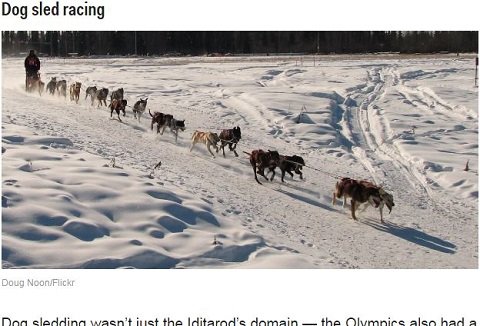 馬幅跳び、ピストル決闘、こん棒格闘… かつて存在した珍妙すぎるオリンピック公式競技種目8選！の画像5