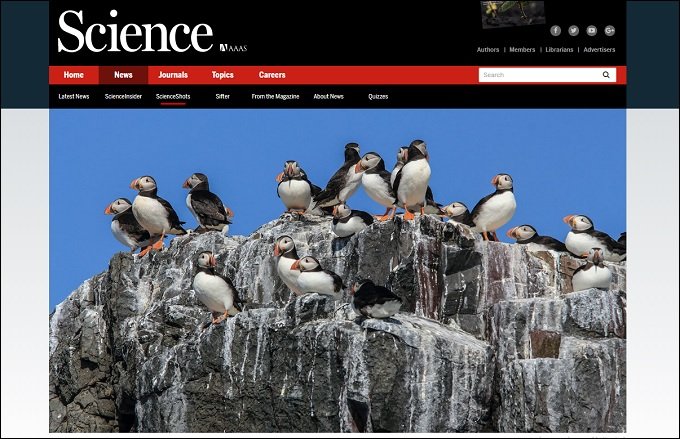 鳥の糞が北極の気温を下げていることが判明！ 理学博士が緊急コメント寄せる「地球温暖化の阻止に…」の画像1