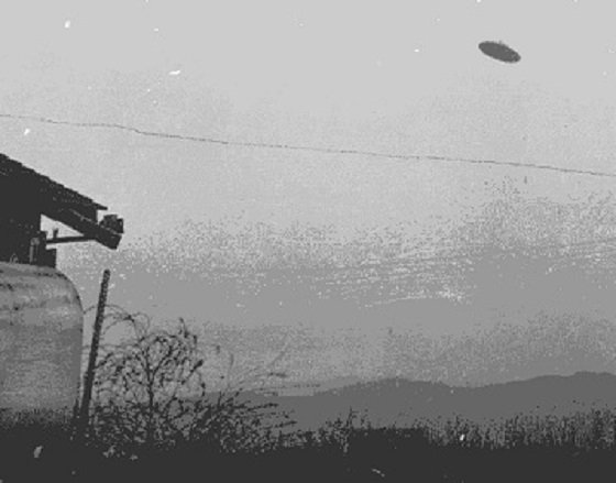 東京上空に出現した「漆黒の円盤」を徹底分析！ 虫でも鳥でもない、正真正銘のブラックUFOであることが確定の画像13