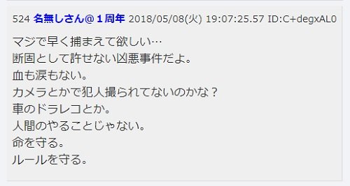 【新潟小2女児殺害】小林容疑者を示す謎の予言の投稿者は誰…!? 「犯人はK」「まだ近くにいる」戦慄メッセージを識者が読み解く!の画像3