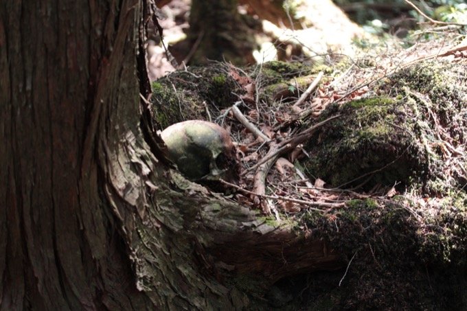 ハエの卵の涙を流す死体、腐乱遺体との食事…！ 日本で初めて「樹海の真ん中を歩いた男」村田らむ、樹海インタビュー！の画像11