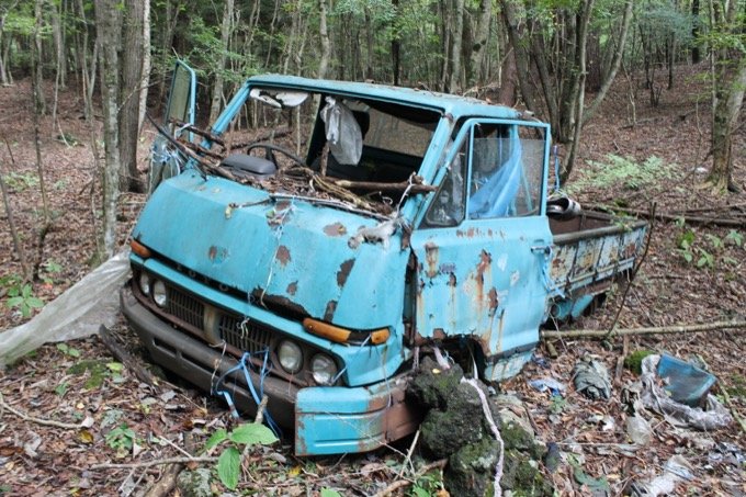 ハエの卵の涙を流す死体、腐乱遺体との食事…！ 日本で初めて「樹海の真ん中を歩いた男」村田らむ、樹海インタビュー！の画像5