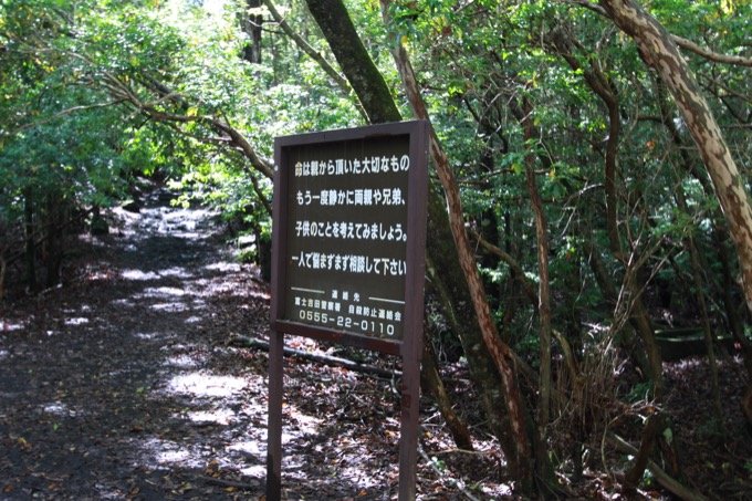 ハエの卵の涙を流す死体、腐乱遺体との食事…！ 日本で初めて「樹海の真ん中を歩いた男」村田らむ、樹海インタビュー！の画像7