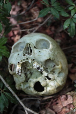 ハエの卵の涙を流す死体、腐乱遺体との食事…！ 日本で初めて「樹海の真ん中を歩いた男」村田らむ、樹海インタビュー！の画像9