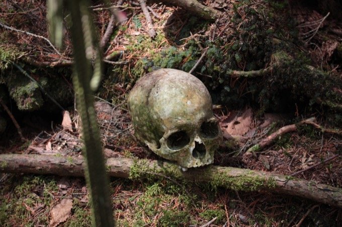 ハエの卵の涙を流す死体、腐乱遺体との食事…！ 日本で初めて「樹海の真ん中を歩いた男」村田らむ、樹海インタビュー！の画像10