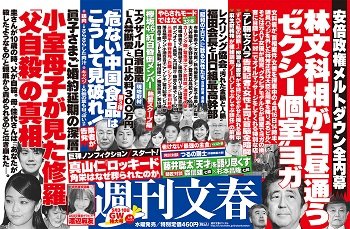 週刊文春に「キャバクラヨガ」と書かれた庄司ゆうこ氏がブチ切れ激白「林文科相は紳士、文春こそセクハラ」の画像1