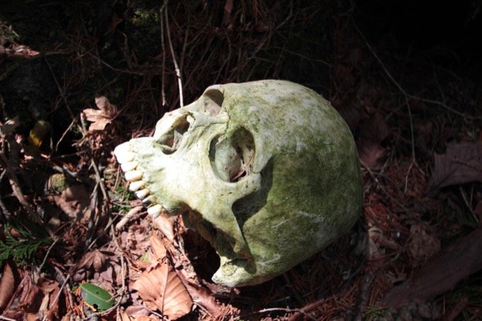 【閲覧注意】樹海の白骨遺体に「呼ばれた」ことも…！ 樹海専門家・村田らむが思い出深い「4つの骨」を紹介！の画像3