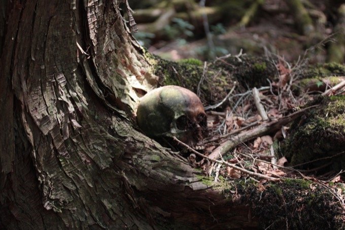 【閲覧注意】樹海の白骨遺体に「呼ばれた」ことも…！ 樹海専門家・村田らむが思い出深い「4つの骨」を紹介！の画像4